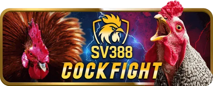 Cá cược thể thao tại Heloo88